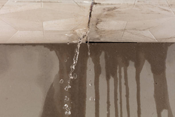 Professional Water Damage Repair technician working in Blaine, WA